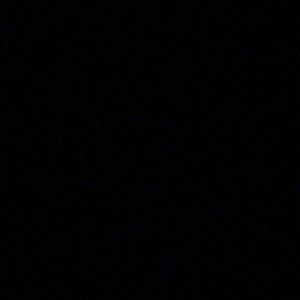 Meet your Posher, Jaden